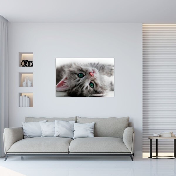 Slika - Mačka sa zelenim očima (90x60 cm)