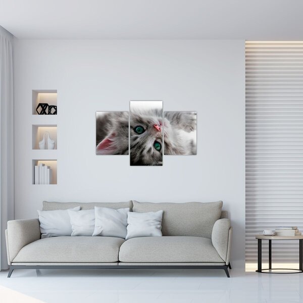 Slika - Mačka sa zelenim očima (90x60 cm)