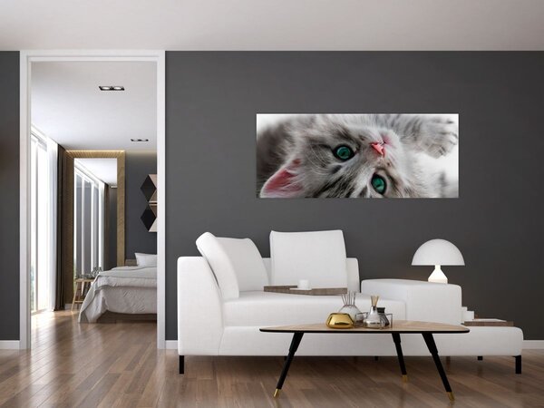 Slika - Mačka sa zelenim očima (120x50 cm)