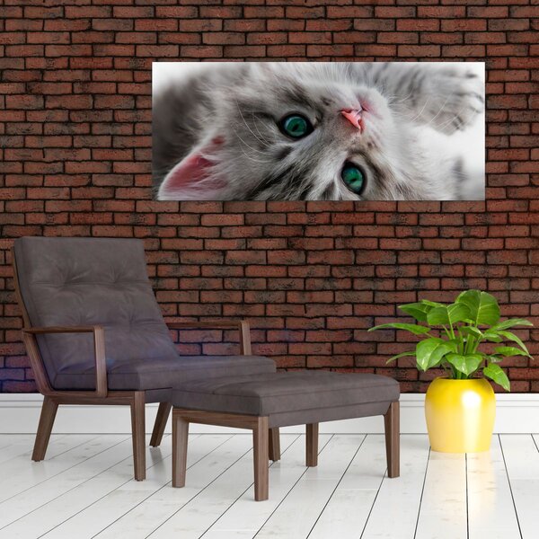 Slika - Mačka sa zelenim očima (120x50 cm)