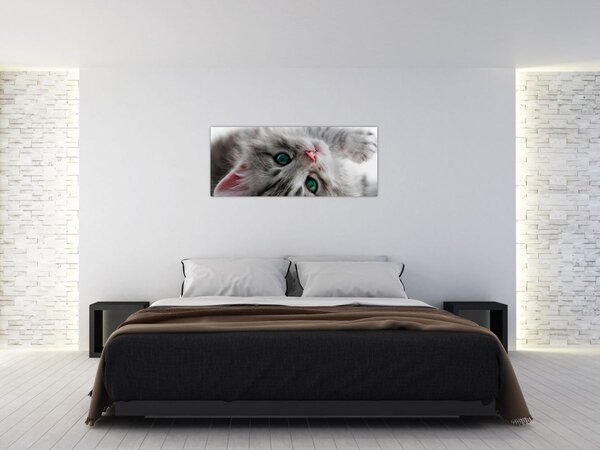 Slika - Mačka sa zelenim očima (120x50 cm)
