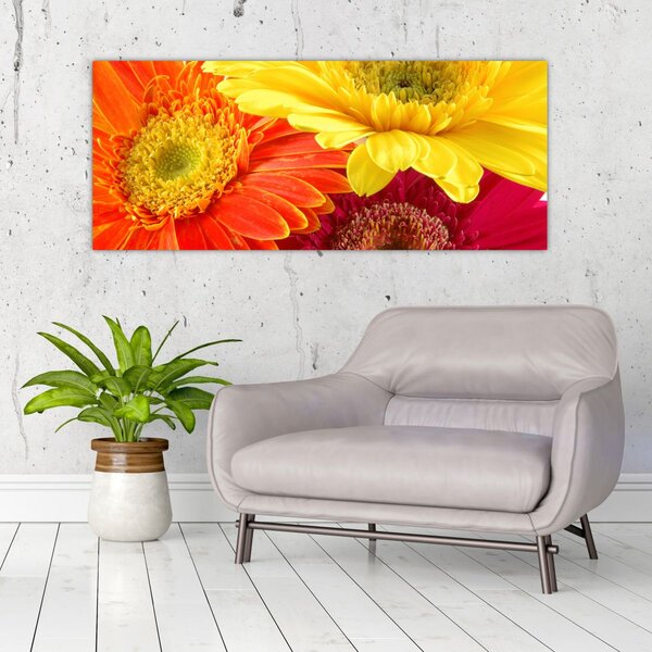 Slika - Cvijeće Gerbery (120x50 cm)