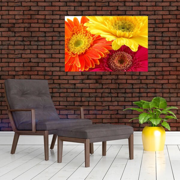 Slika - Cvijeće Gerbery (90x60 cm)