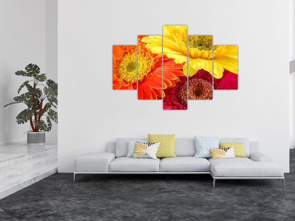 Slika - Cvijeće Gerbery (150x105 cm)