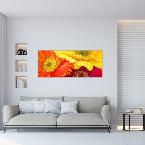 Slika - Cvijeće Gerbery (120x50 cm)