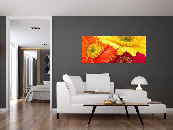 Slika - Cvijeće Gerbery (120x50 cm)
