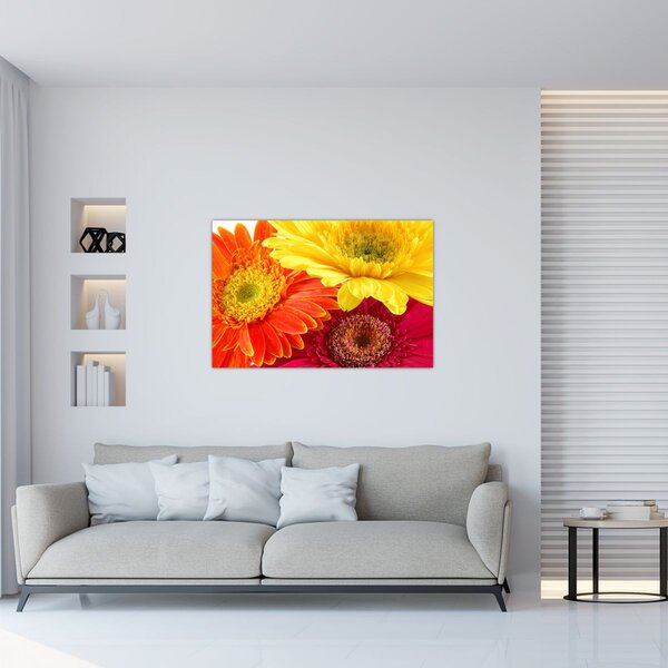Slika - Cvijeće Gerbery (90x60 cm)