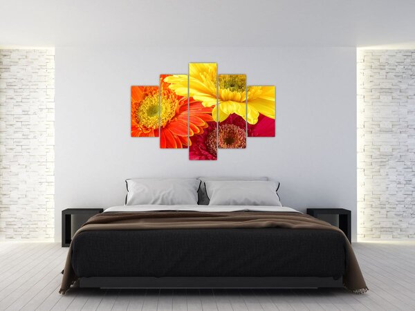Slika - Cvijeće Gerbery (150x105 cm)