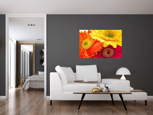 Slika - Cvijeće Gerbery (90x60 cm)