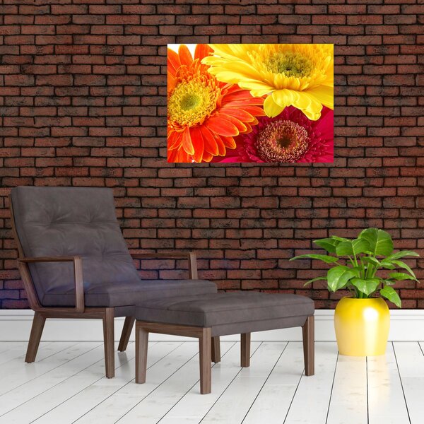 Slika - Cvijeće Gerbery (70x50 cm)