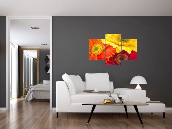 Slika - Cvijeće Gerbery (90x60 cm)