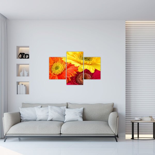 Slika - Cvijeće Gerbery (90x60 cm)