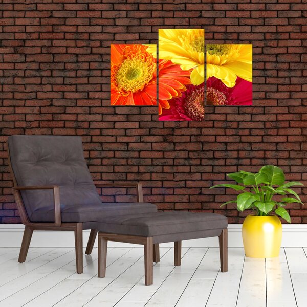 Slika - Cvijeće Gerbery (90x60 cm)