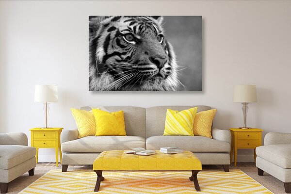 Slika bengalski tigar u crno-bijelom dizajnu