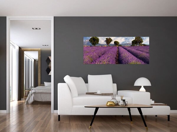 Slika - Polje lavande i planine (120x50 cm)