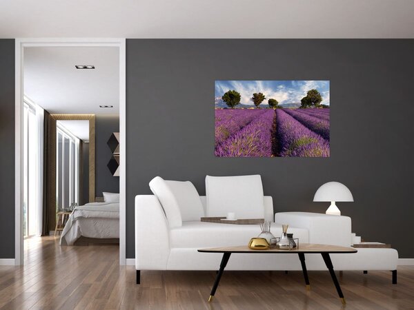 Slika - Polje lavande i planine (90x60 cm)