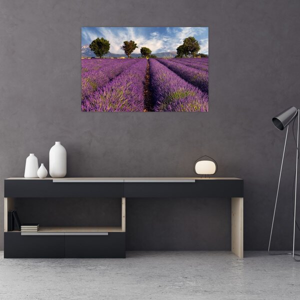 Slika - Polje lavande i planine (90x60 cm)