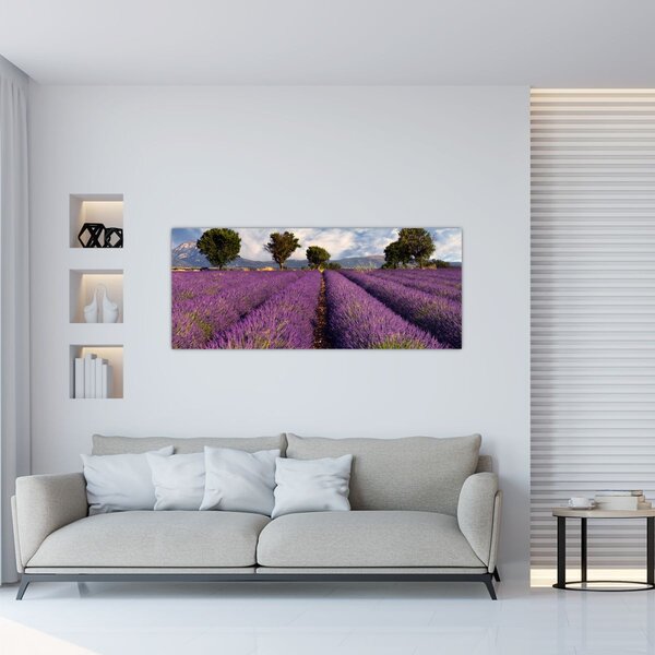 Slika - Polje lavande i planine (120x50 cm)