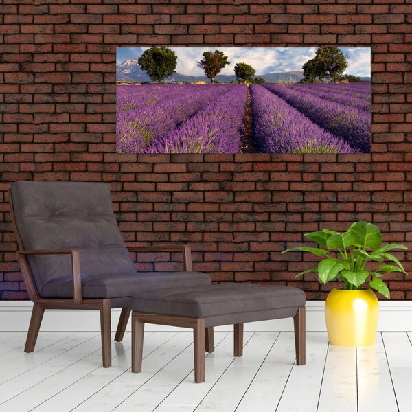 Slika - Polje lavande i planine (120x50 cm)