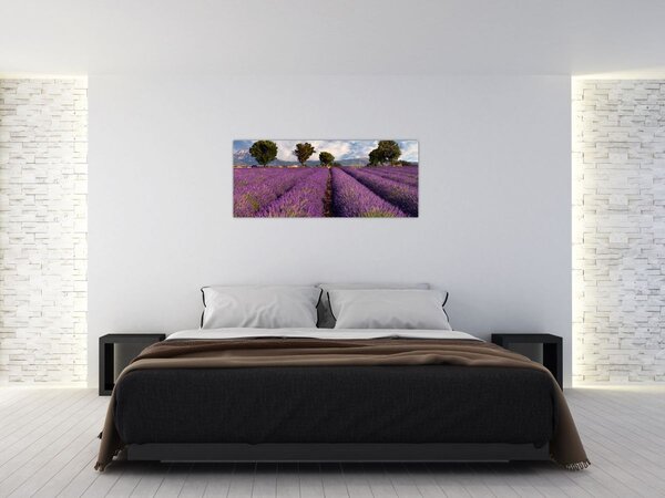 Slika - Polje lavande i planine (120x50 cm)