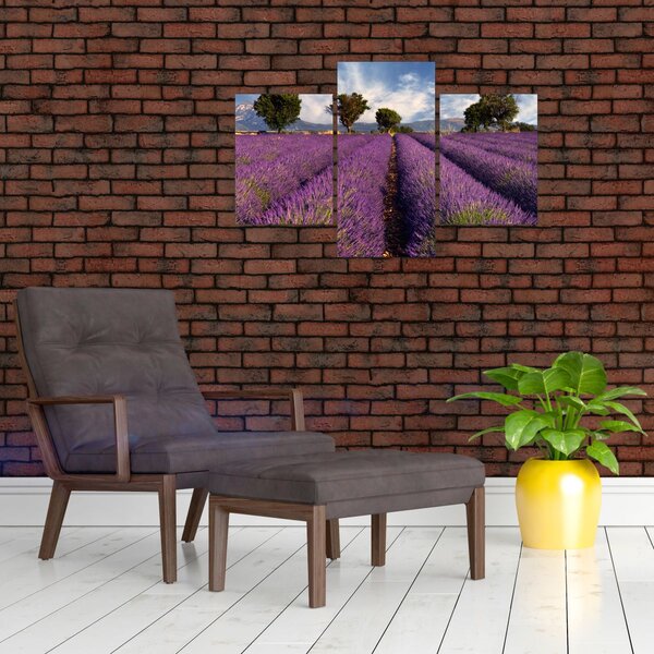 Slika - Polje lavande i planine (90x60 cm)