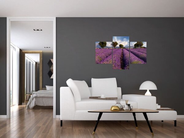 Slika - Polje lavande i planine (90x60 cm)