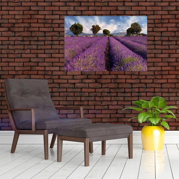 Slika - Polje lavande i planine (90x60 cm)