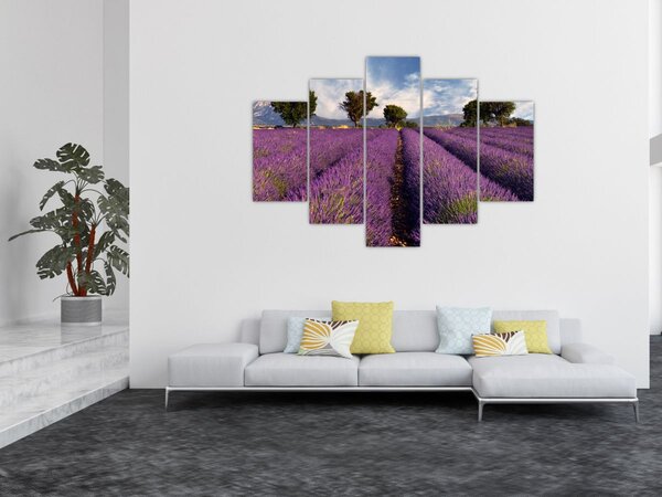 Slika - Polje lavande i planine (150x105 cm)