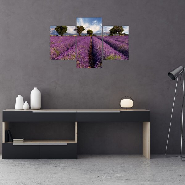 Slika - Polje lavande i planine (90x60 cm)