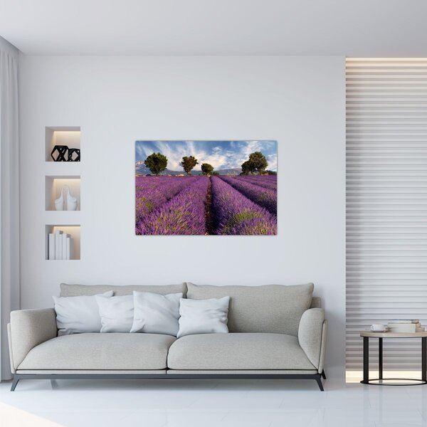 Slika - Polje lavande i planine (90x60 cm)