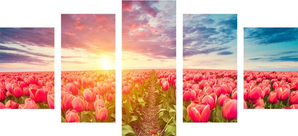 5-dijelna slika izlazak sunca iznad livade s tulipanima