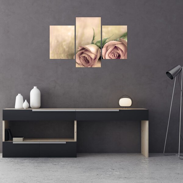 Slika - Fine ruze (90x60 cm)