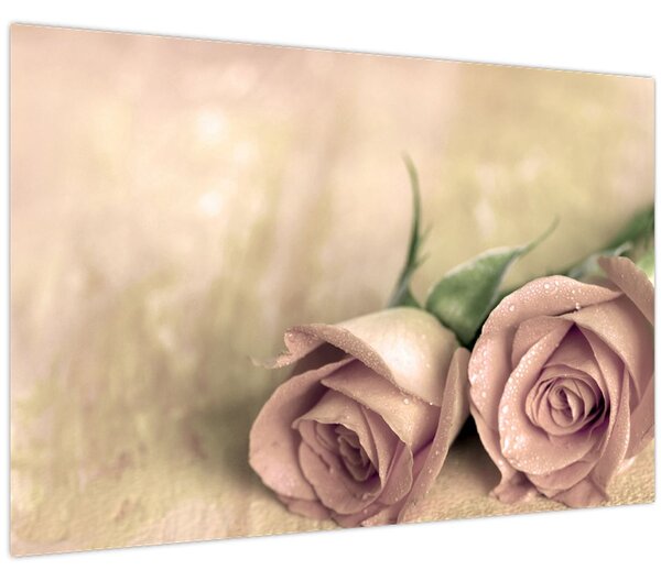 Slika - Fine ruze (90x60 cm)
