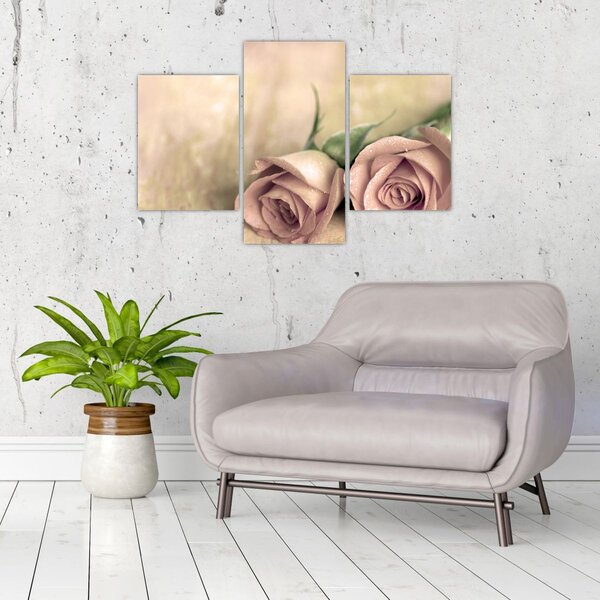 Slika - Fine ruze (90x60 cm)