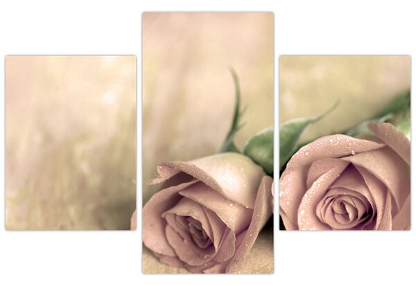 Slika - Fine ruze (90x60 cm)