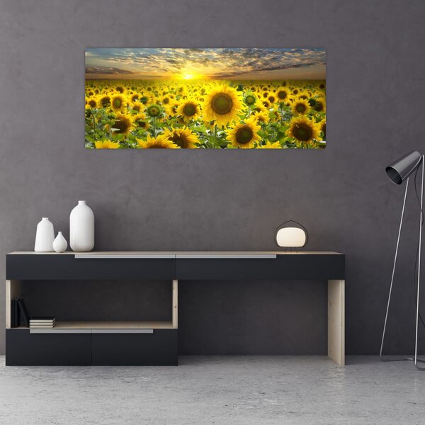 Slika - Suncokreti na zalasku sunca (120x50 cm)