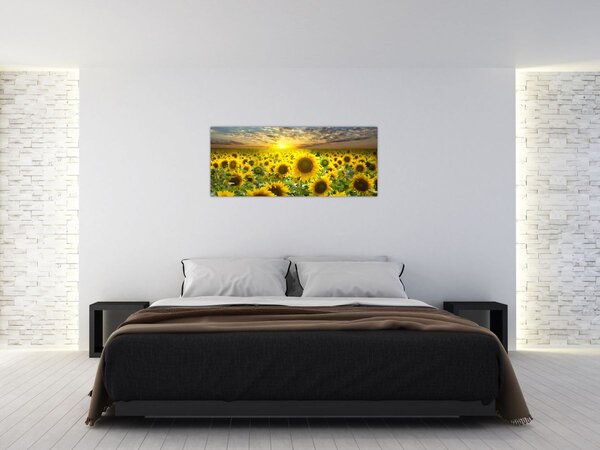 Slika - Suncokreti na zalasku sunca (120x50 cm)