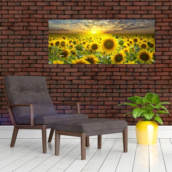 Slika - Suncokreti na zalasku sunca (120x50 cm)