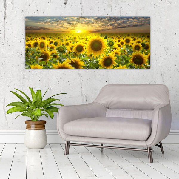 Slika - Suncokreti na zalasku sunca (120x50 cm)