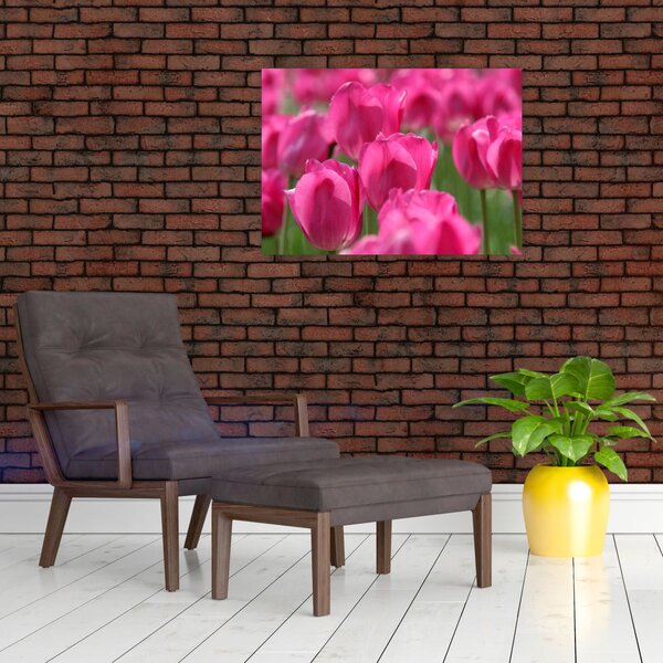 Slika - Ružičasti tulipani (70x50 cm)