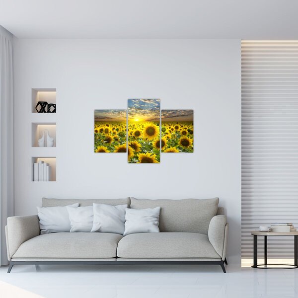 Slika - Suncokreti na zalasku sunca (90x60 cm)