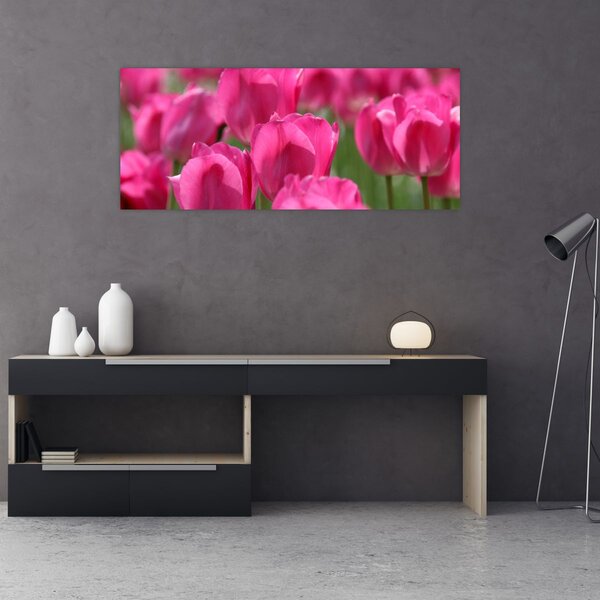 Slika - Ružičasti tulipani (120x50 cm)