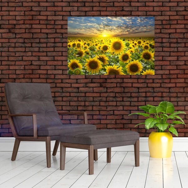 Slika - Suncokreti na zalasku sunca (90x60 cm)