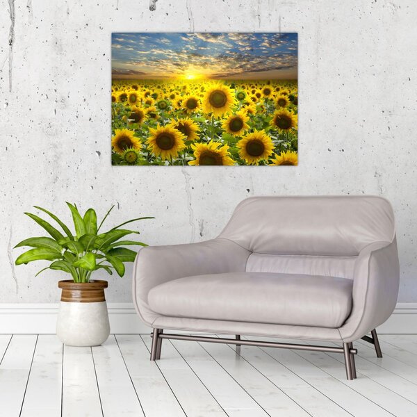 Slika - Suncokreti na zalasku sunca (70x50 cm)