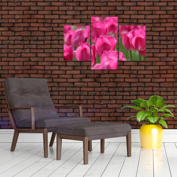 Slika - Ružičasti tulipani (90x60 cm)