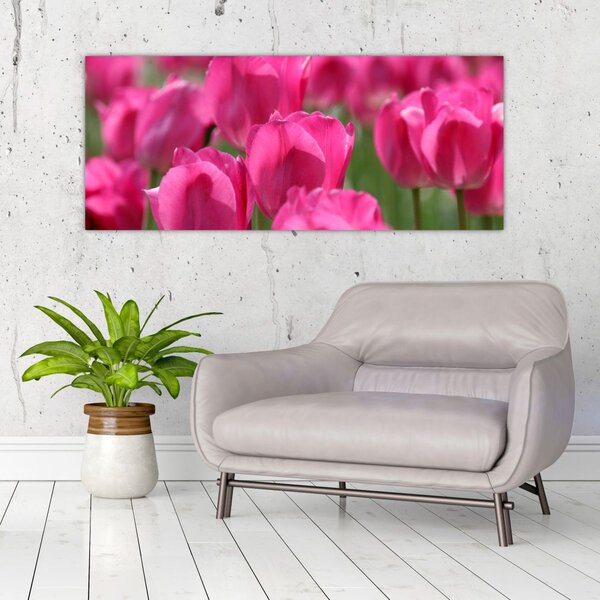 Slika - Ružičasti tulipani (120x50 cm)