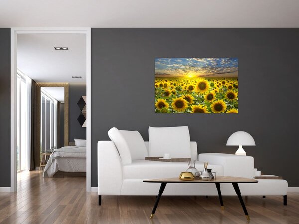 Slika - Suncokreti na zalasku sunca (90x60 cm)