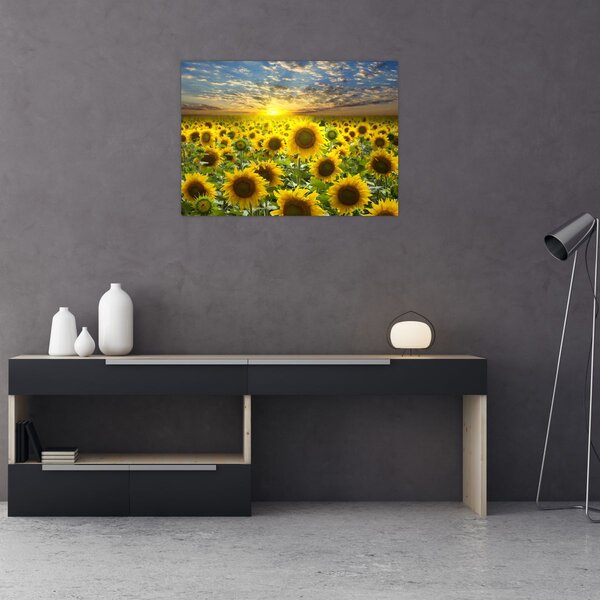 Slika - Suncokreti na zalasku sunca (70x50 cm)