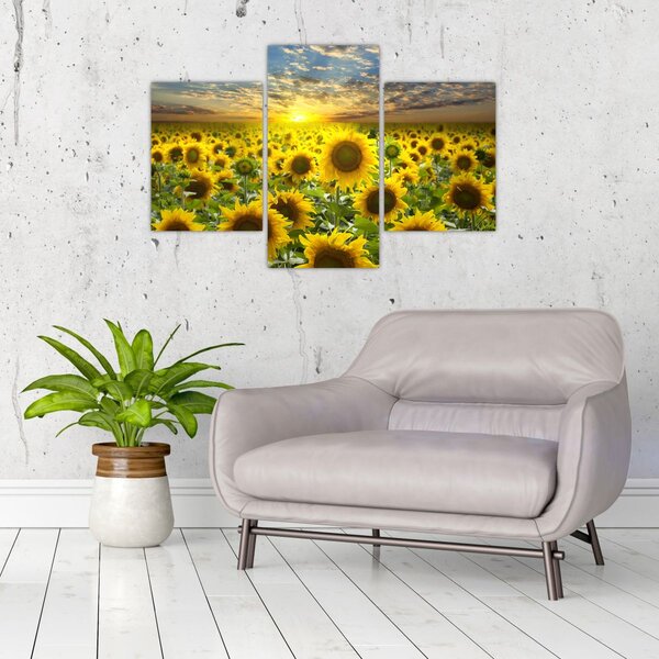 Slika - Suncokreti na zalasku sunca (90x60 cm)