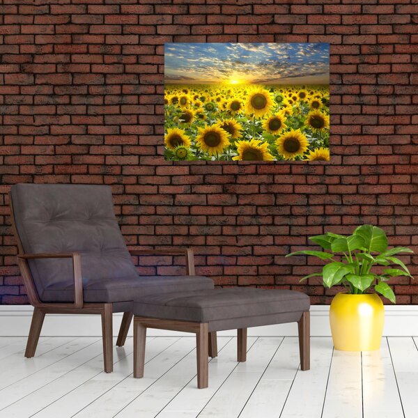Slika - Suncokreti na zalasku sunca (70x50 cm)